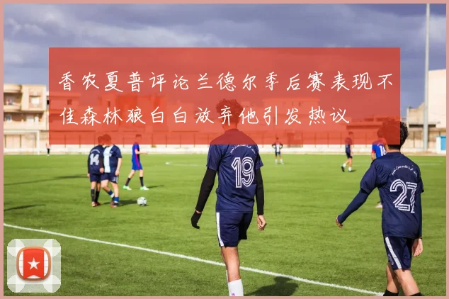 香农夏普评论兰德尔季后赛表现不佳森林狼白白放弃他引发热议