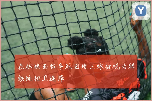 森林狼面临争冠困境三球被视为稀缺纯控卫选择