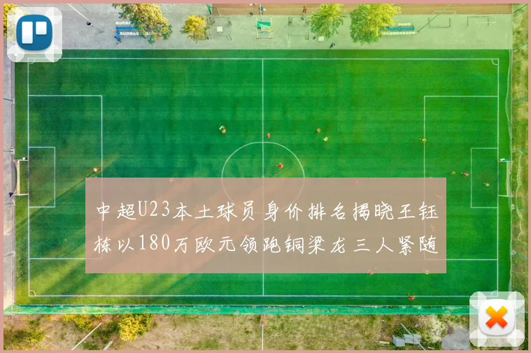 中超U23本土球员身价排名揭晓王钰栋以180万欧元领跑铜梁龙三人紧随其后