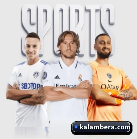 金年会网页版 APP